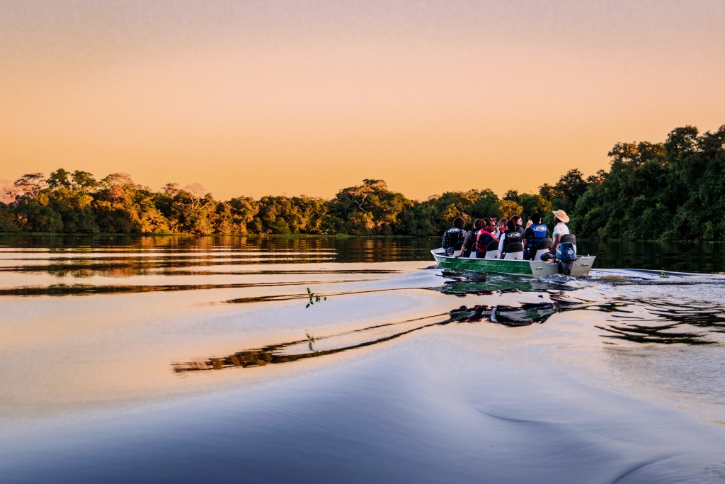 ESPECIAL: Turismo Sustentável transforma indústria e interesses dos viajantes Observação da fauna durante o passeio de barco no Pantanal (Foto: Ana Azevedo/arquivo pessoal)