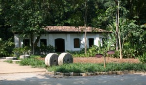 Jardim Botânico (RJ) faz visitas guiadas ao patrimônio histórico e acervo fotográfico