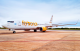 Flybondi retoma voos para Florianópolis em dezembro