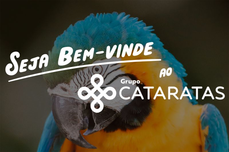 Grupo Cataratas abre vagas para o programa Trainee de Todas as Formas Grupo Cataratas abre vagas para o programa Trainee de Todas as Formas
