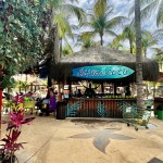 Quiosque de água de coco no Hot Beach