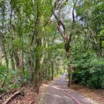 Uma ciclovia está inserida no Parque Aldeia do Imigrante, visando o conforto do visitante durante o deslocamento