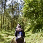 Em todo o Parque do Caracol a trilha e nivelada com cascalhos e pedrinhas, além de ser demarcada para minimizar ao máximo o impacto no solo
