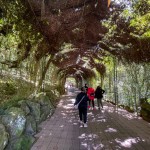 O Mundo Mágico Florybal possui mais de 50 atrações e cenários instagramáveis