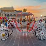 Para atrair os turistas, os comerciantes do Souq Waqif oferecem produtos nacionais e internacionais no Souq Waqif