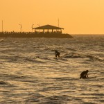 Surf - Península da Ponta d'Areia