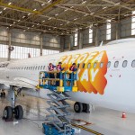 Adesivagem da aeronave