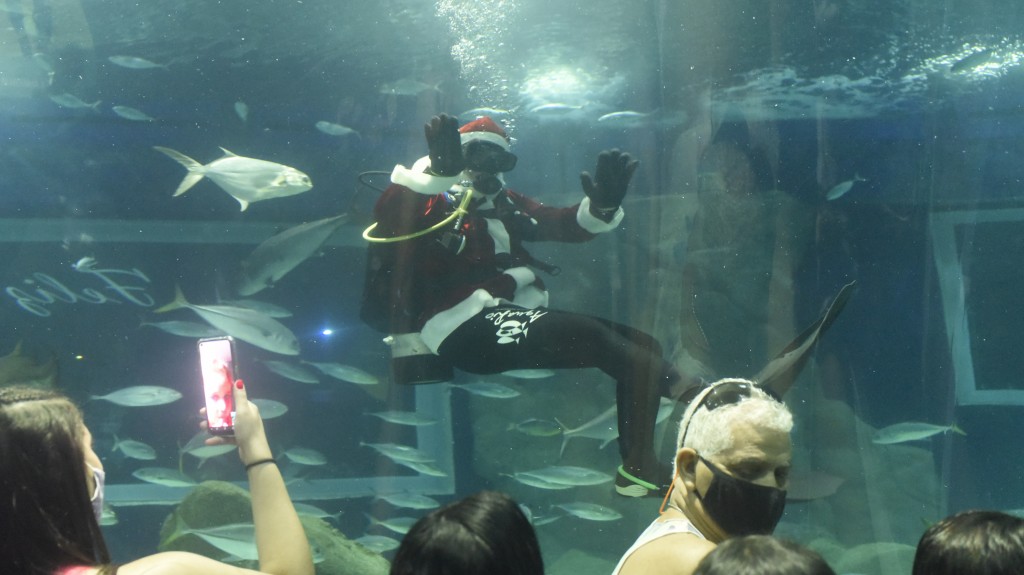 Papai Noel mergulha com tubarões em temporada de Natal do AquaRio RIO DE JANEIRO, BRAZIL – DECEMBER -16 - Santa Claus and Mrs. Claus provided an unusual moment of joy in Rio de Janeiro by feeding sharks and swimming among the rays of the city's aquarium. The aquarium was crowded with people, Brazil confirms 964 deaths by covid-19 in 24 hours and the total exceeds 182 thousand