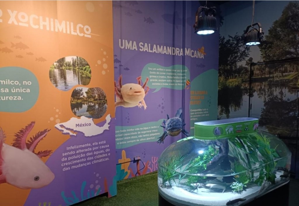 Oceanic Aquarium, em Balneário Camboriú, lança cinema 3D com realidade virtual Novos equipamentos e experiências. Foto: Divulgação