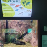 Toda informação disponível para os visitantes