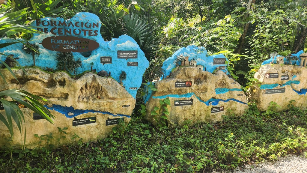 Riviera Maya e Isla Mujeres: natureza, aventura, relax e cultura em destinos mexicanos all inclusive 20221216_113238
