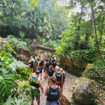 Caminhadas pela selva Caminhadas pela selva