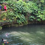 Diversão nos cenotes Diversão nos cenotes