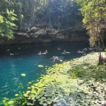 Flutuação e snorkel no Ha Cenote Flutuação e snorkel no Ha Cenote