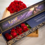 Rosas personalizadas do Aladdin