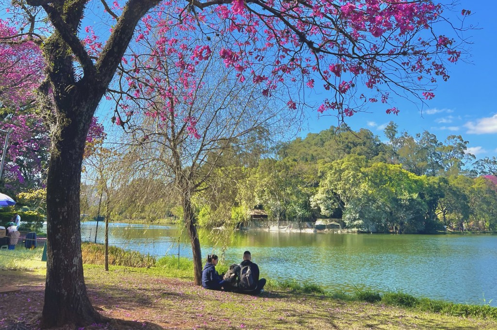 Parque do Ibirapuera (Foto: Pedro Menezes/M&E)