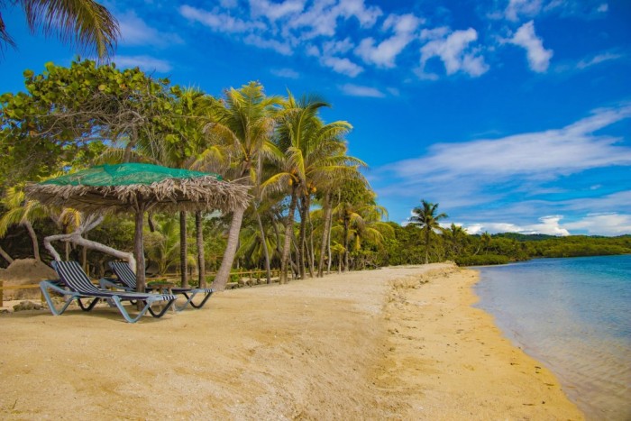 The Palm Beaches destaca novidades e renovações para 2024 The Palm Beaches destaca novidades e renovações para 2024