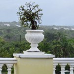 Rooftop Ala Sol - Premium