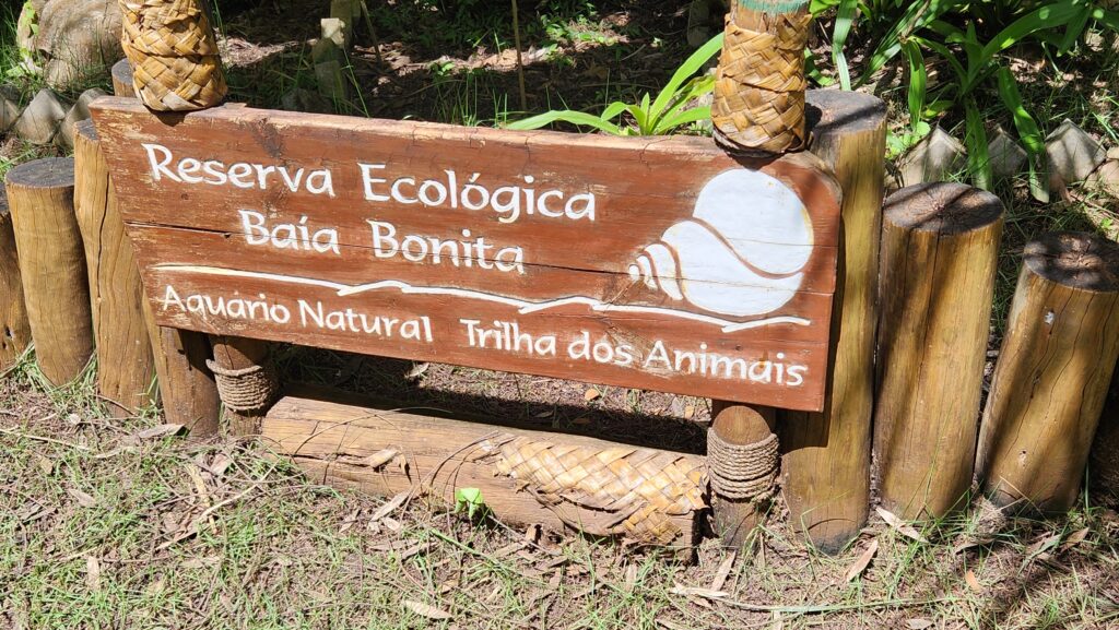 Animais e flutuação na reserva ecológica