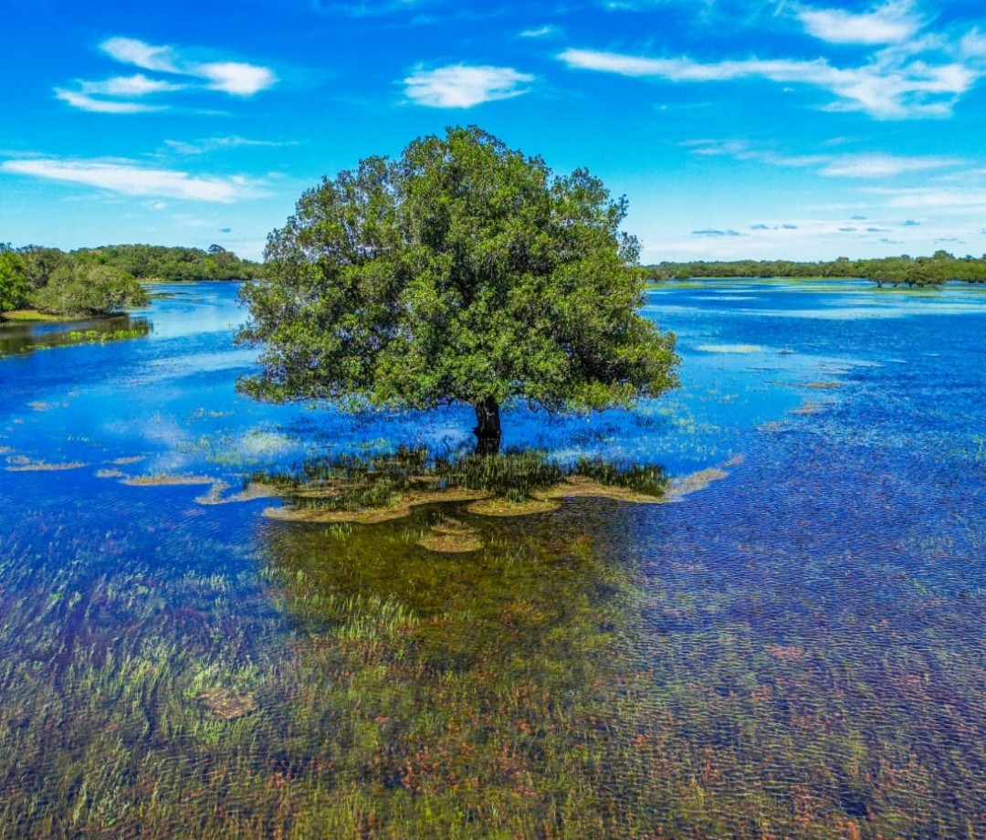 As águas invadem toda a região de planície As águas invadem toda a região de planície