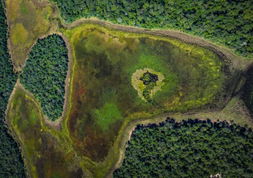 Do alto, a imensidão verde do Pantanal