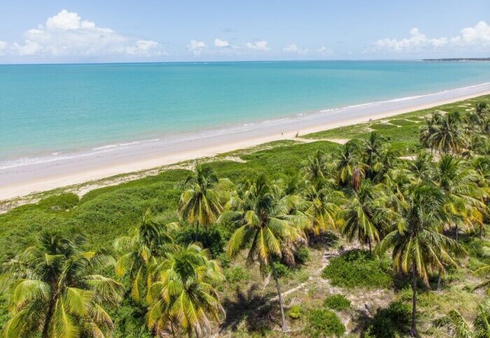 Vila Gale Alagoas promove ‘Operacao Praia Limpa e1682619206451 Vila Galé Alagoas promove mutirão de limpeza na Praia do Carro Quebrado