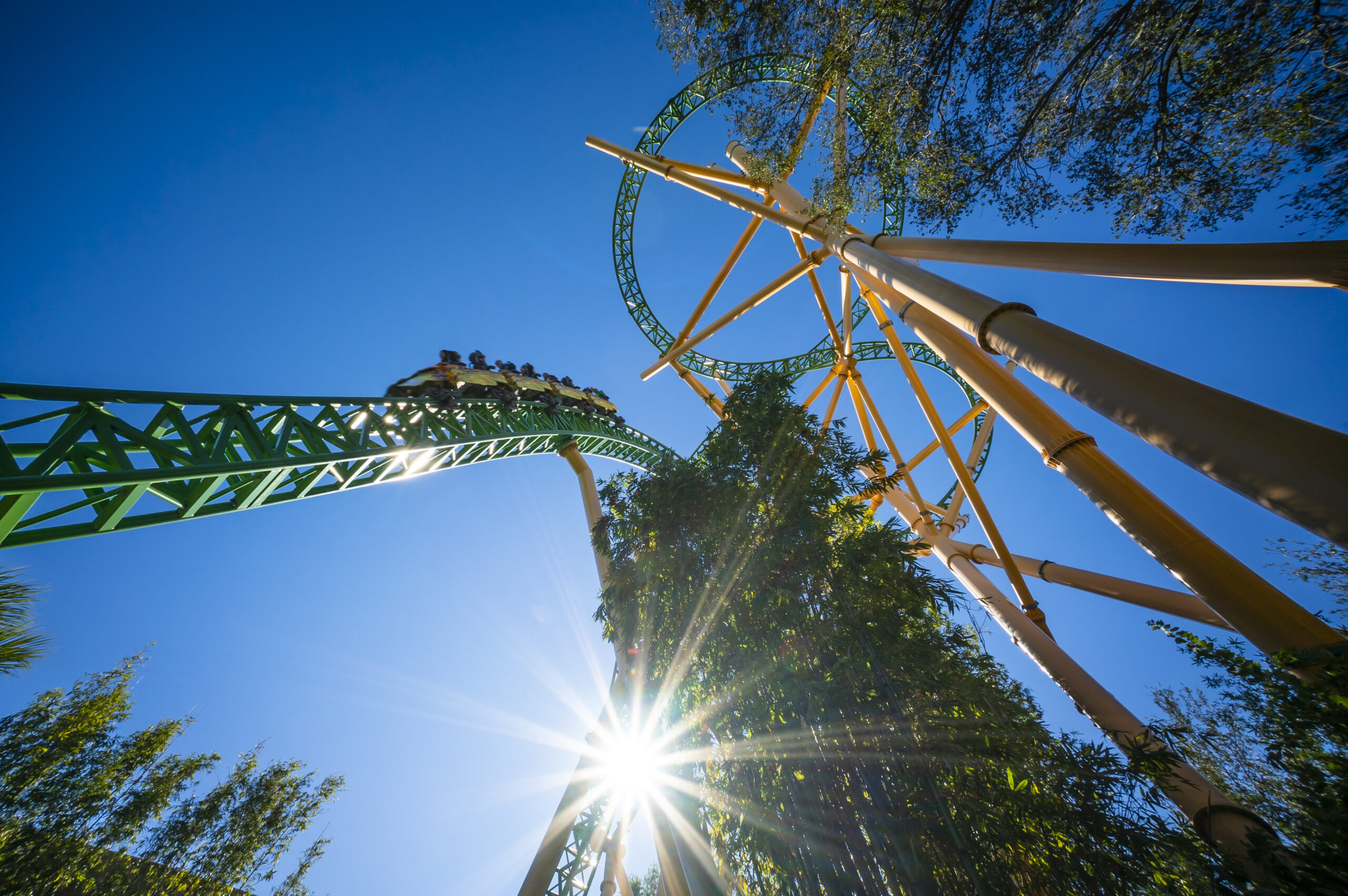 2017 BGT Cheetah Hunt Sun Beam scaled Parques e Atrações