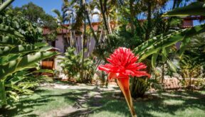 Resort La Torre promove ações no Dia Mundial do Meio Ambiente