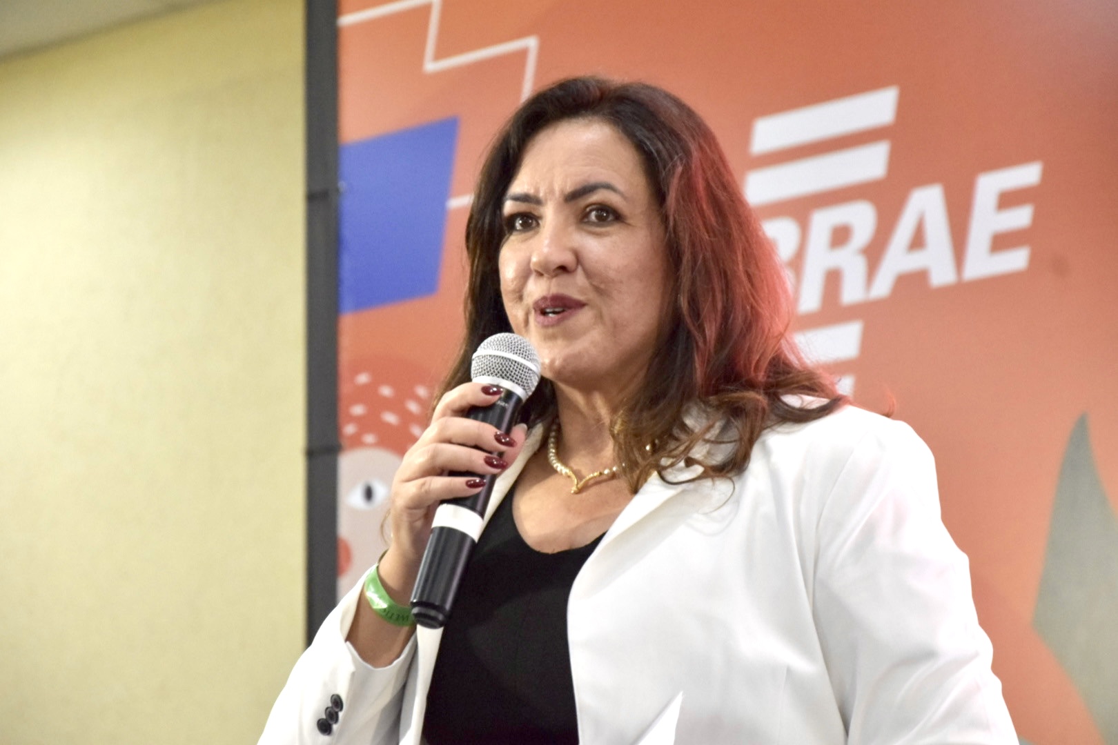 Sandra Amarilha, diretora do Sebrae Mato Grosso do Sul Sandra Amarilha, diretora do Sebrae Mato Grosso do Sul
