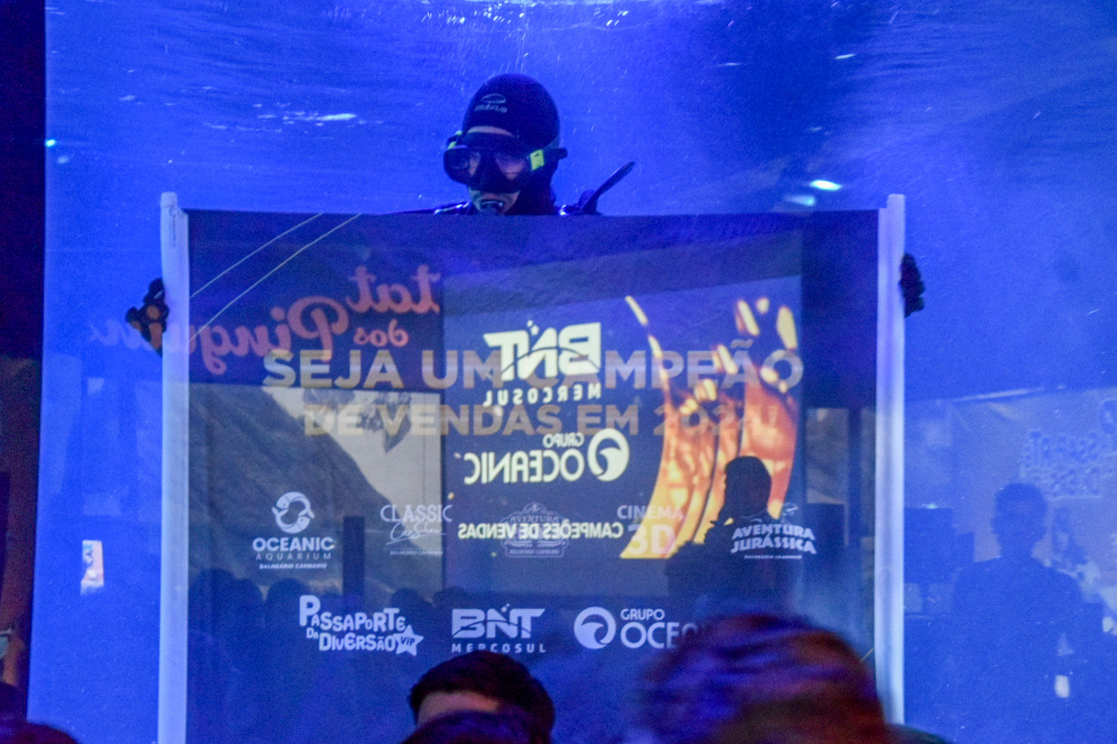 Mergulhador com do Oceanic Aquarium dentro de um dos aquário celebrando os vencedores Mergulhador com do Oceanic Aquarium dentro de um dos aquário celebrando os vencedores