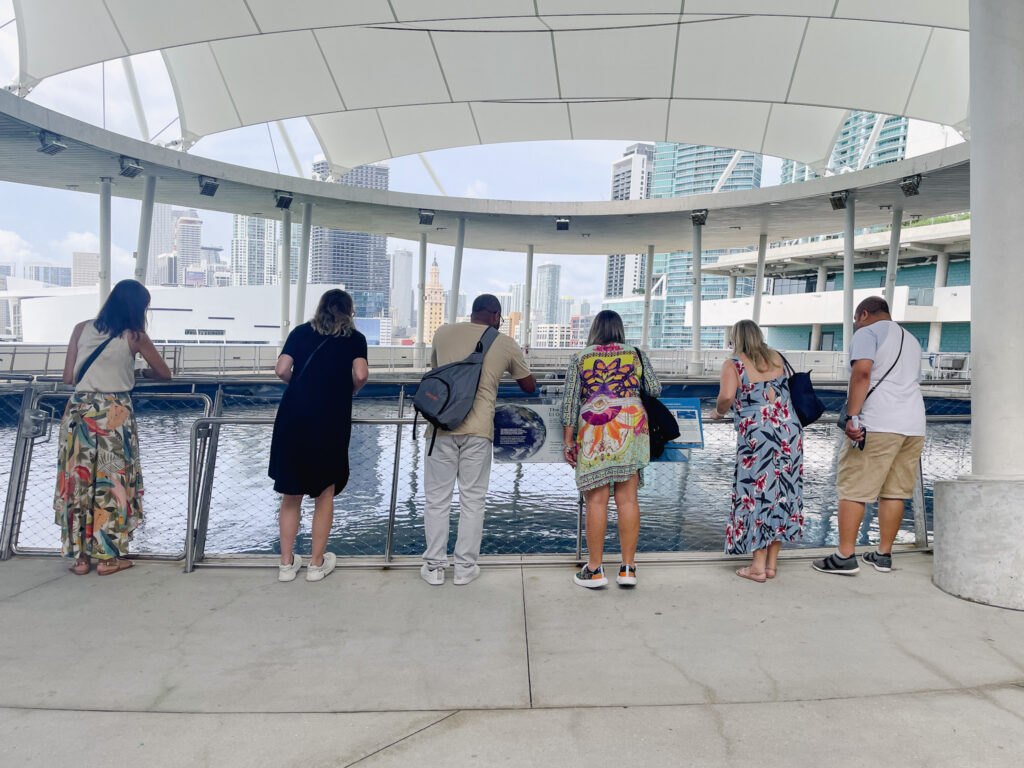 Famtour da Diversa Turismo observando a fauna marinha no aquário do Frost Museum