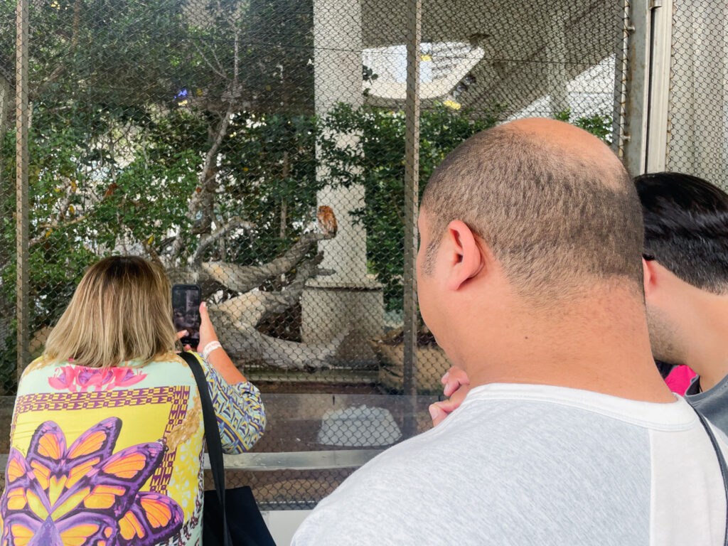 Além da fauna marinha, Frost Museum também possui um aviário