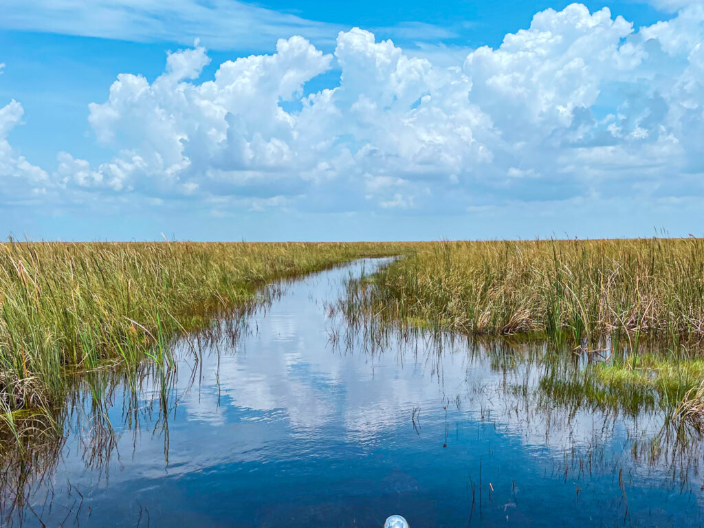Os Everglades lembram o Pantanal brasileiro durante a cheia