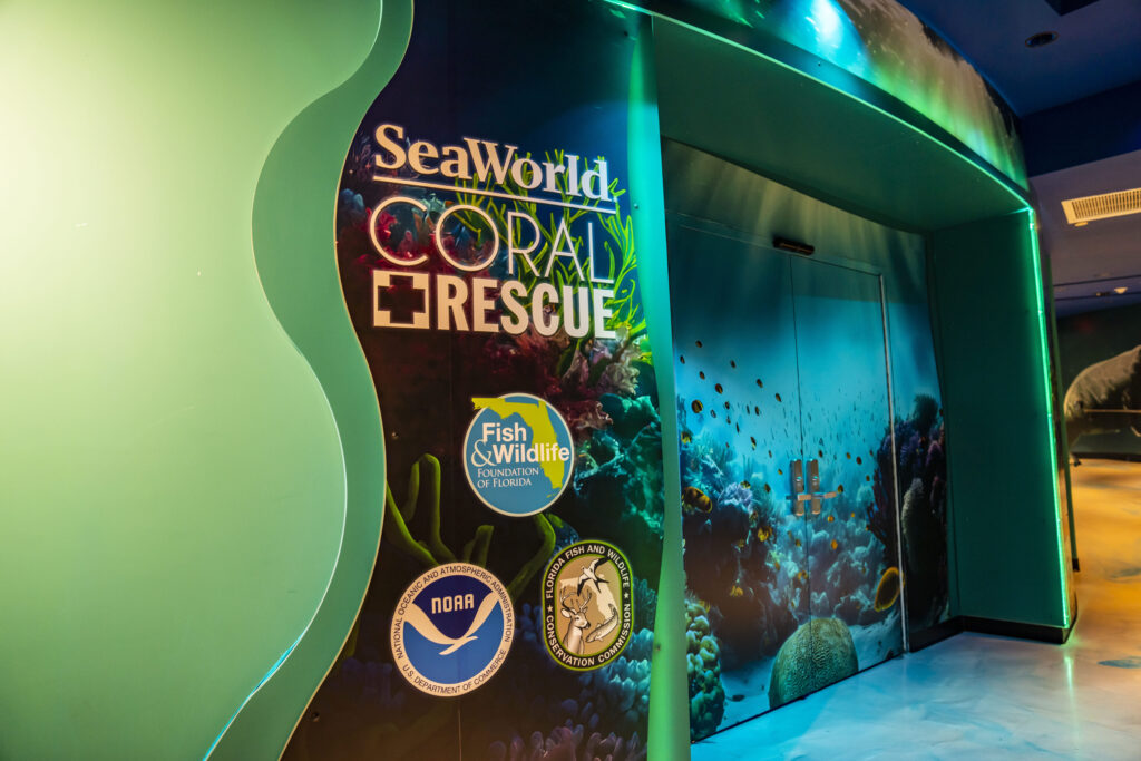 SeaWorld inaugura Coral Rescue Center em Orlando SeaWorld inaugura Coral Rescue Center em Orlando