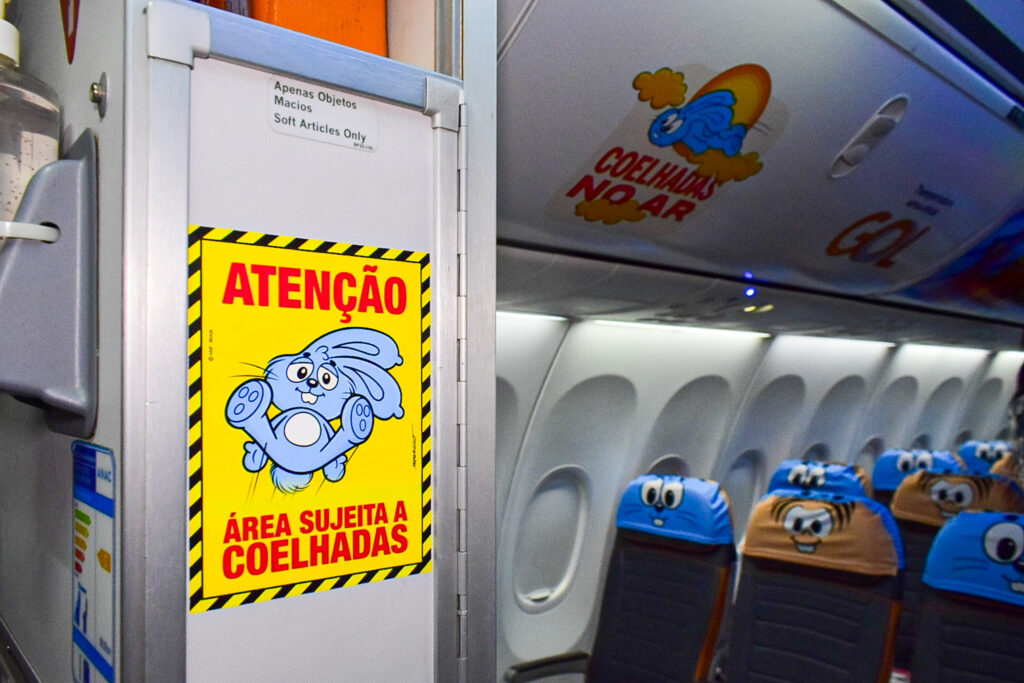 Alerta de coelhadas durante o voo