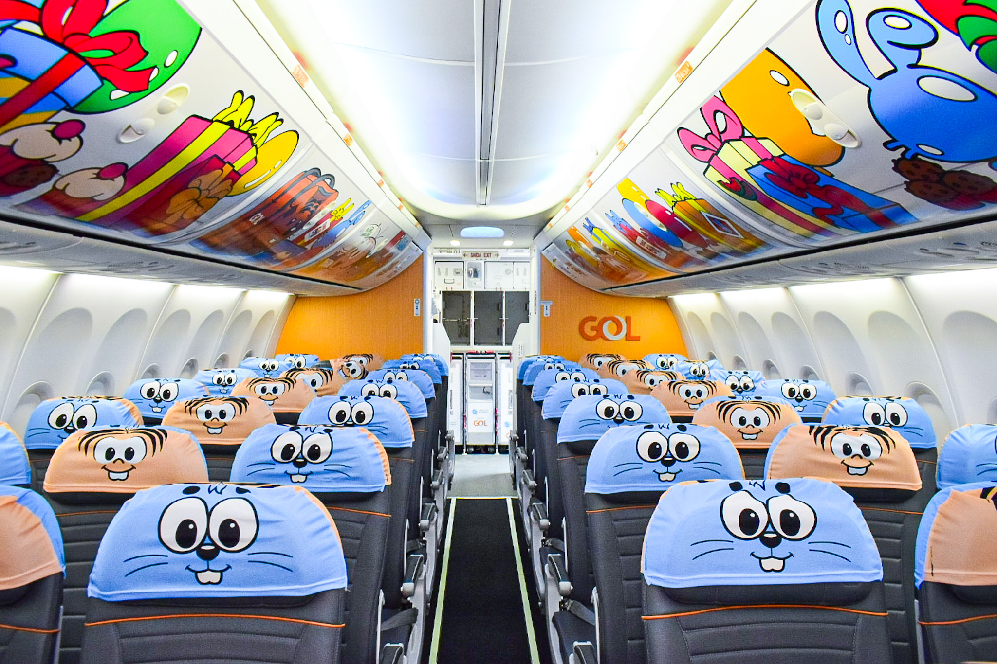 Visão geral do avião da Mônica Visão geral do avião da Mônica