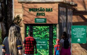 Em breve, os visitantes poderão também fazer passeios de pedalinho no lago do Dreams Eco Park e pilotar mini tratores (Divulgação)