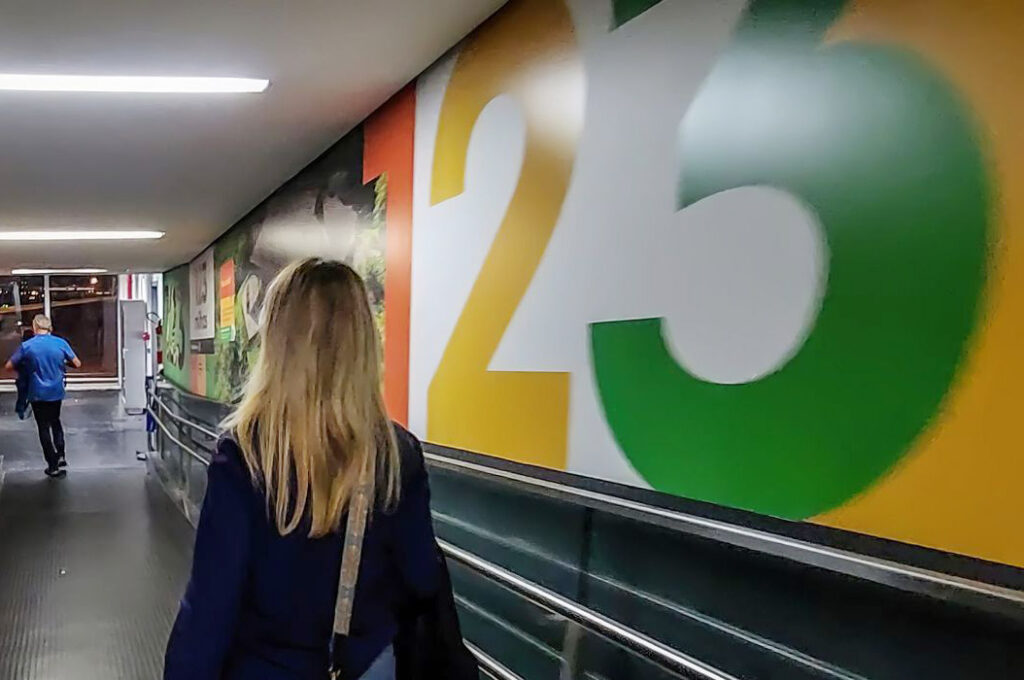 Clientes da 123 Milhas terão que seguir regras da recuperação judicial para tentar reembolso; saiba o que fazer 1 123 Milhas Rafa Neddermeyer Agencia Brasil 1 Clientes da 123 Milhas terão que seguir regras da recuperação judicial para tentar reembolso; saiba o que fazer