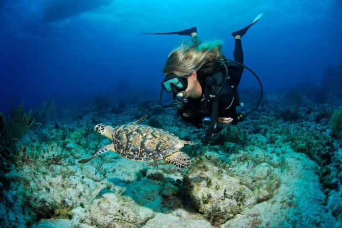 mergulho nas ilhas cayman credito lawson wood 910x609 1 e1690918719820 Ilhas Cayman se destacam com o projeto Dive 365