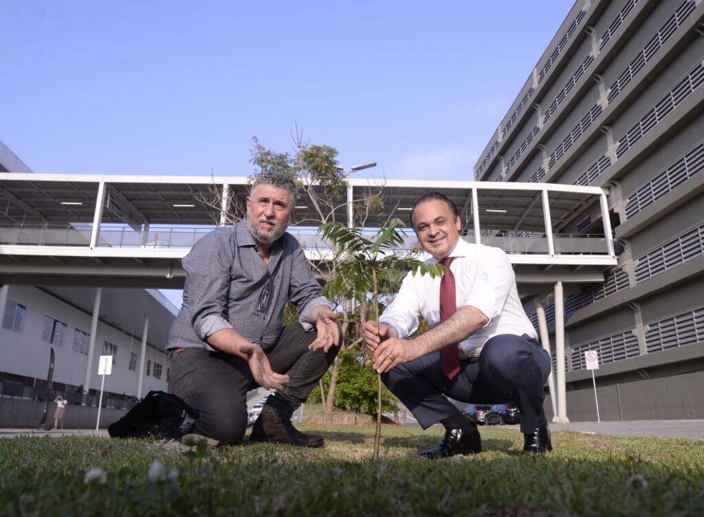 Setur-SP neutraliza emissões de carbono do primeiro semestre com plantio de 228 árvores Setur-SP neutraliza emissões de carbono do primeiro semestre com plantio de 228 árvores