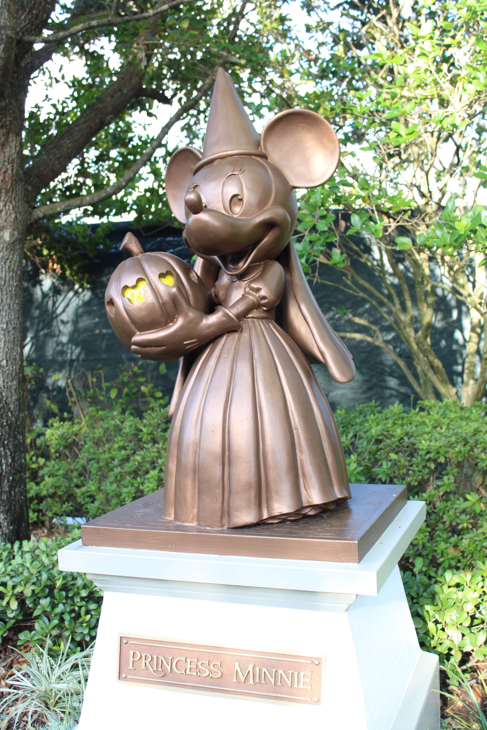 Princesa Minnie