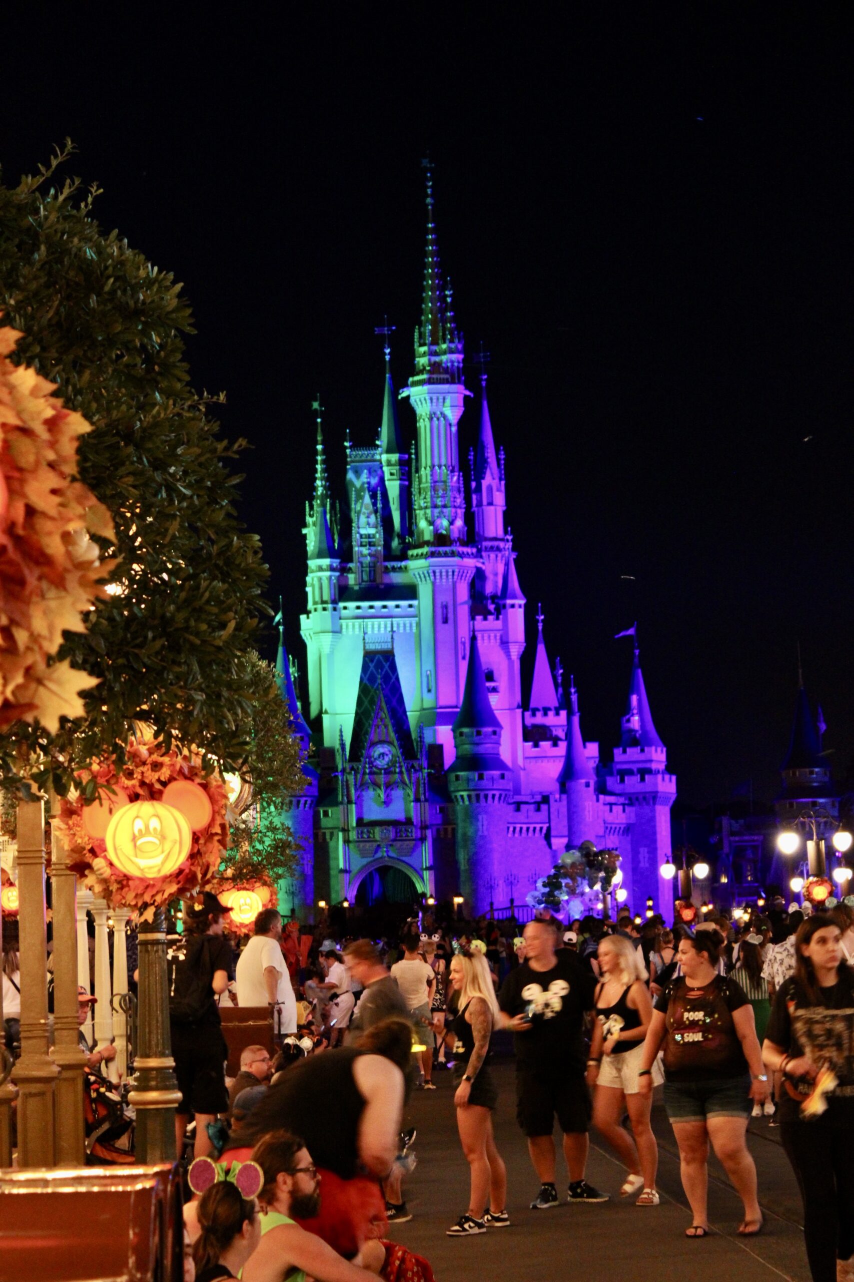 Magic Kingdom durante a noite