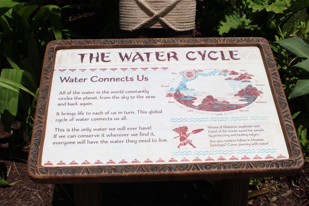 O ciclo da água