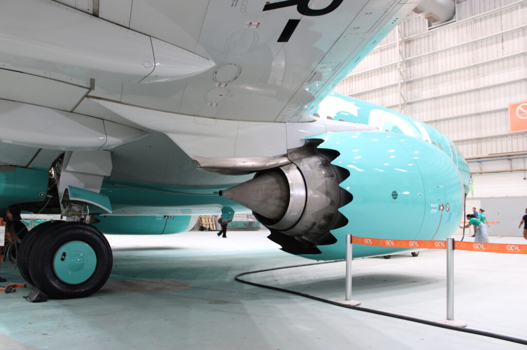 IMG 6896 #MeuVooCompensa: veja fotos da inédita aeronave verde lançada pela Gol