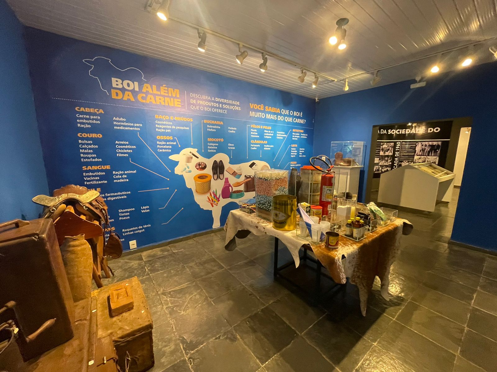 Além de explicar mais sobre a história da espécie na cidade, o museu também apresenta todos os produtos que podem ser feitos a partir do animal Além de explicar mais sobre a história da espécie na cidade, o museu também apresenta todos os produtos que podem ser feitos a partir do animal