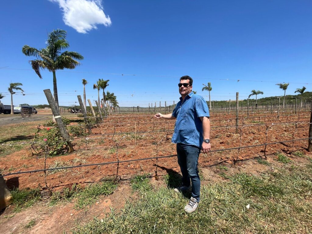 A Vinícola Arpuro é a primeira e única do triângulo mineiro