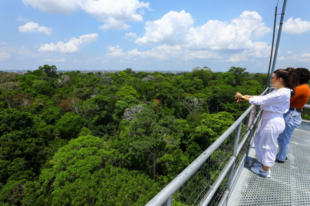 WhatsApp Image 2023 09 21 at 10.13.18 Dia da Árvore: Amazonastur destaca roteiro para conhecer a imponência da floresta