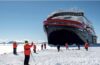 R11 Travel fecha parceria com a HX Hurtigruten Expeditions para vendas no Brasil
