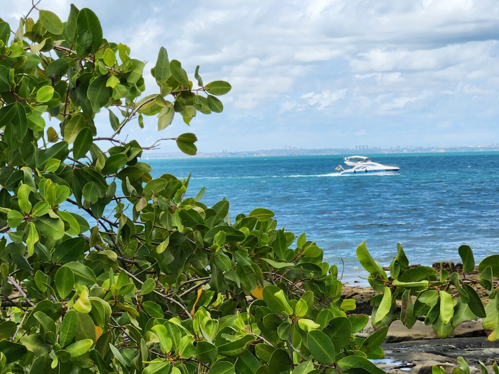 Ilha dos Frades, paraíso verde
