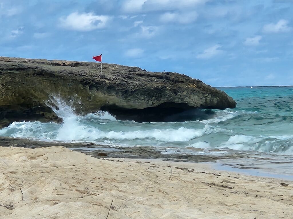 Natureza exuberante